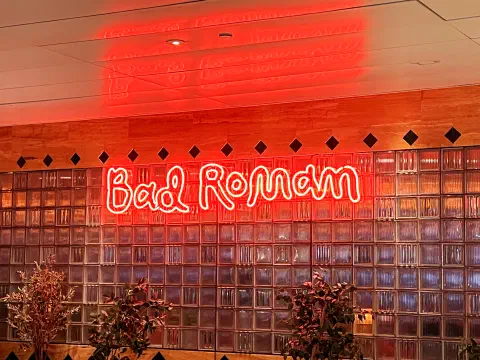 Bad Roman