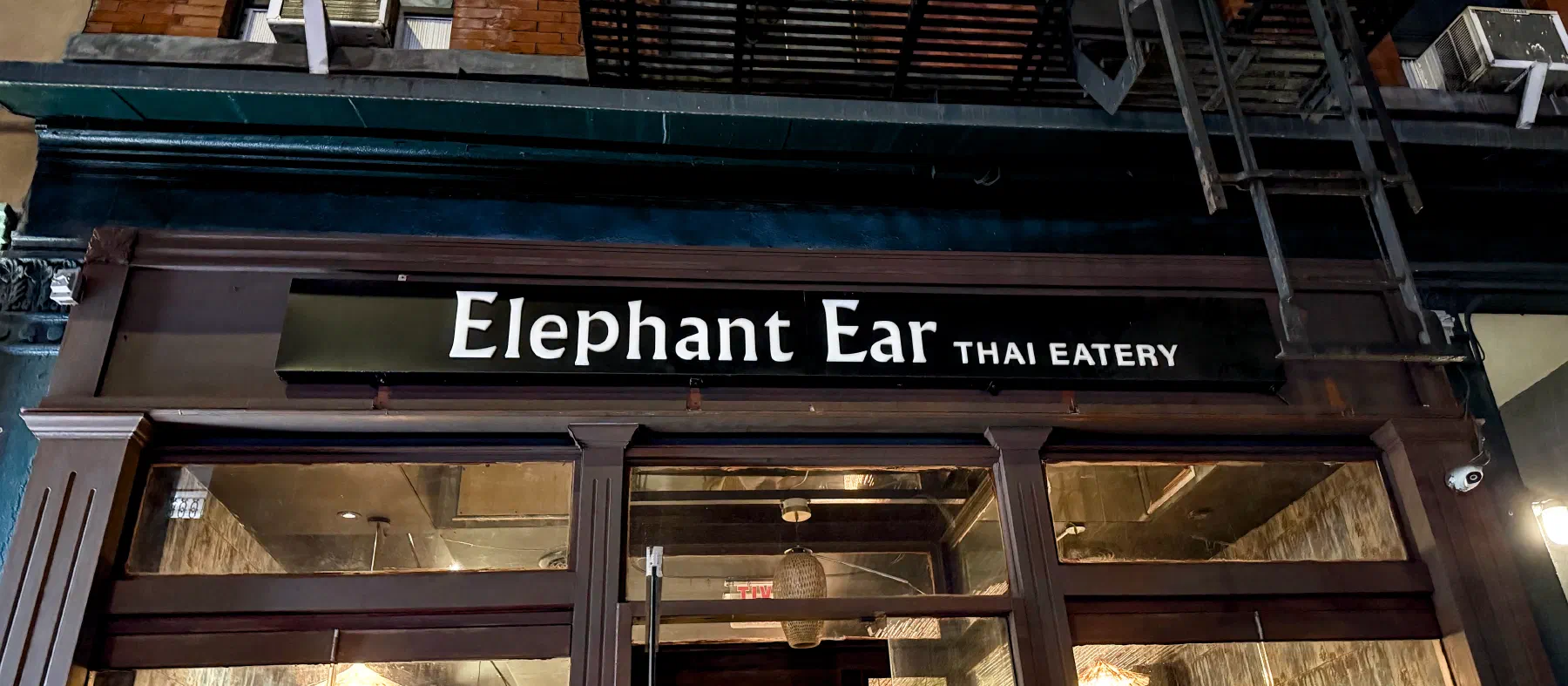 Elephant Ear