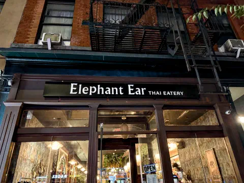 Elephant Ear