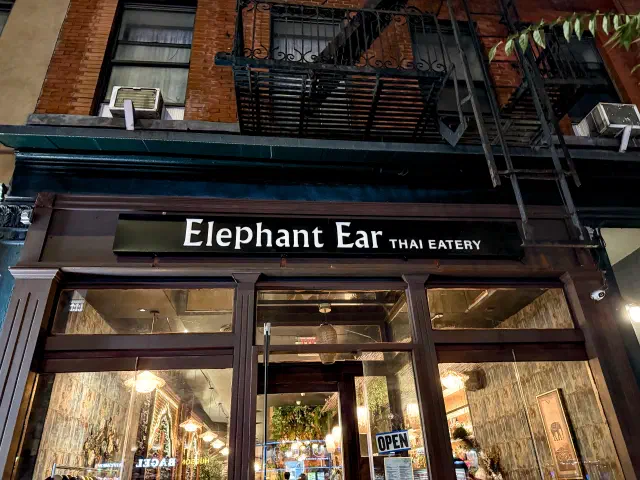 Elephant Ear