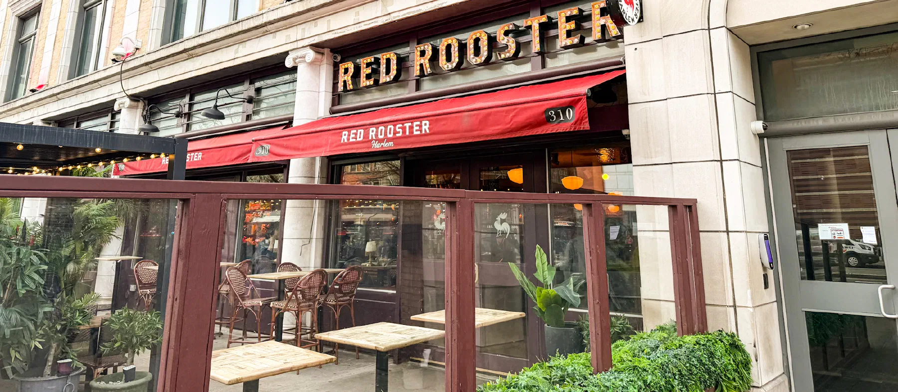 Red Rooster